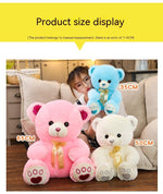 Huggable Heart Teddy Bear Plush