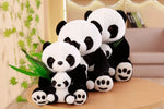 Panda Teddy Bear