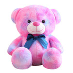 Rainbow Teddy Bear