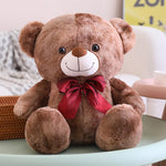Rainbow Teddy Bear