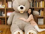 Teddy Bear Plush Toy