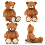 Teddy Bear Plush