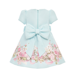 Bluebell Baby Dress